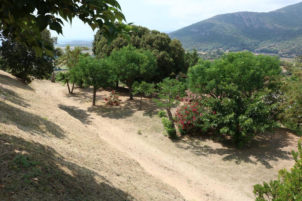 Camping Les Couchants Casaglione エクステリア 写真