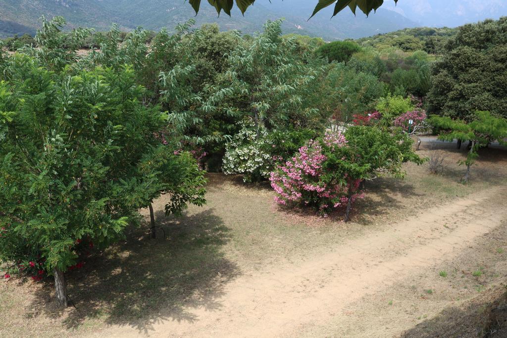 Camping Les Couchants Casaglione エクステリア 写真